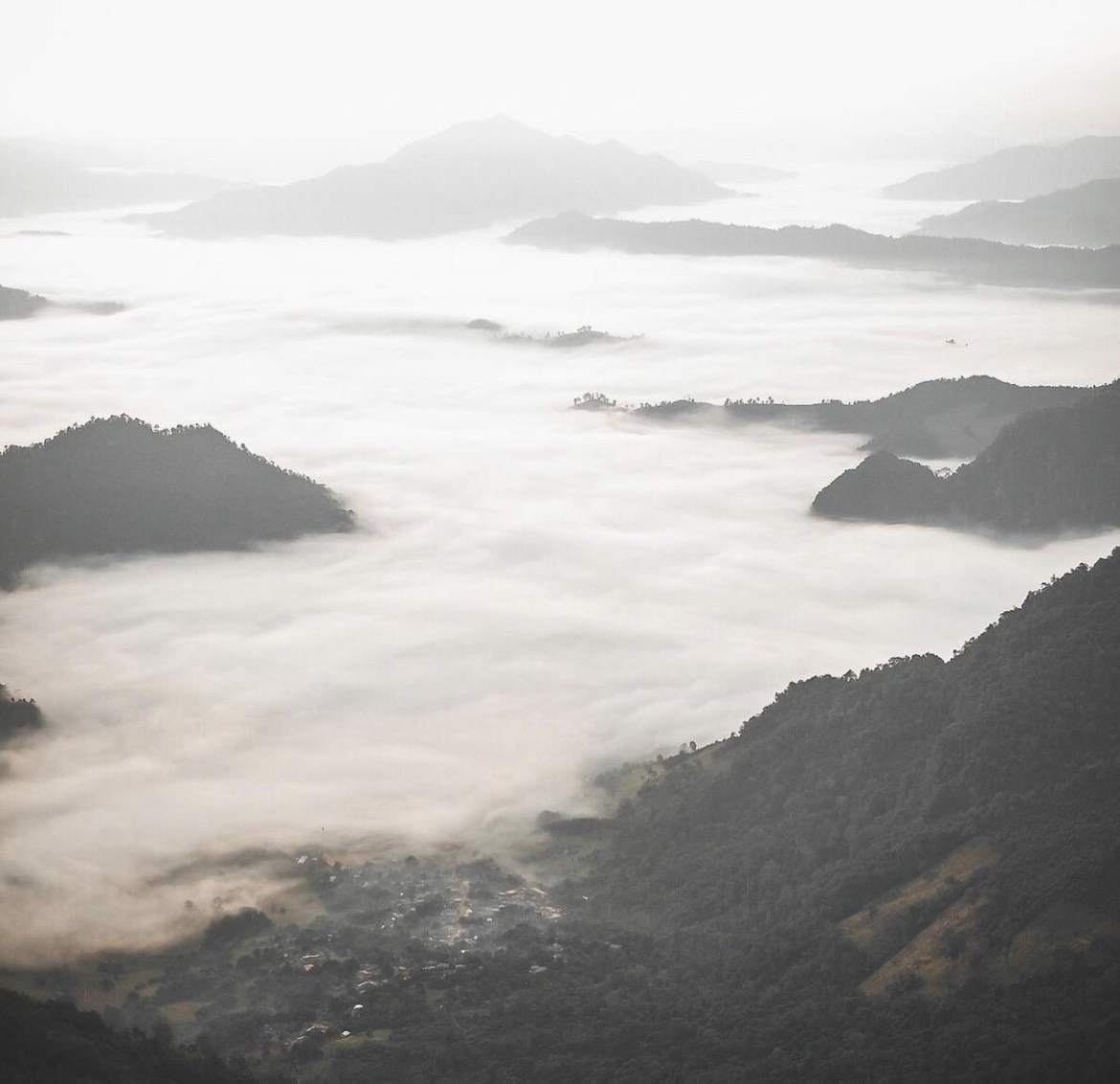RandomAsia's tweet photo. Travel to enjoy the sea of mist in the Phu Chi Fa ✈️🌿🍃⛵✨🌼🙏 3 days 2 nights 2,185 Baht

More details: https://t.co/Q1FmENYoEk

#randomtravelasia #Thailand #chiangrai #nature #holiday #takeabreak #forest #culture #phuchifa #mountain https://t.co/Og3vdIrW3d
