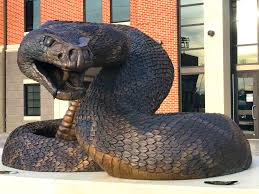 <a href="/BenardMF/">mb</a> Florida a &amp; m Rattlers?