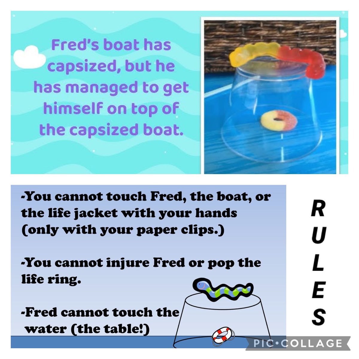 LisaMcCauley10's tweet photo. Mrs. Haker’s Grade 3/4 showed they are up for any challenge. Operation SAVE FRED completed! First day smiles! #teamwork #firsttwoweeks https://t.co/eYwjluznQn