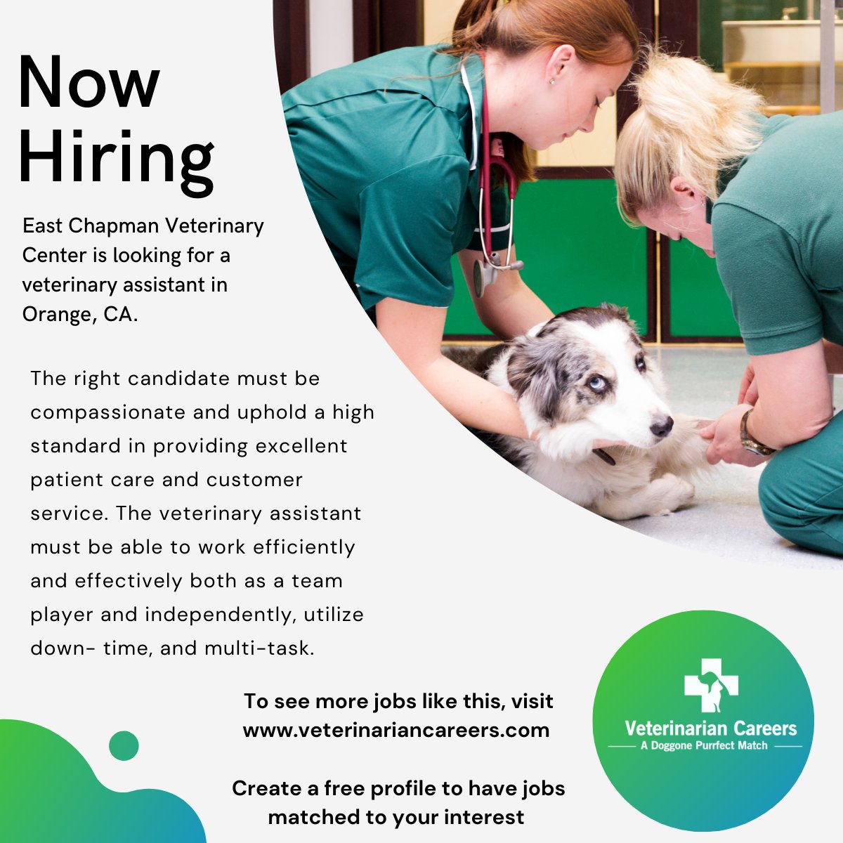 East Chapman Veterinary Center is now hiring a veterinary assistant in Orange, CA.  Visit veterinariancareers.com to search for more jobs and create a free profile to match jobs to your interest.