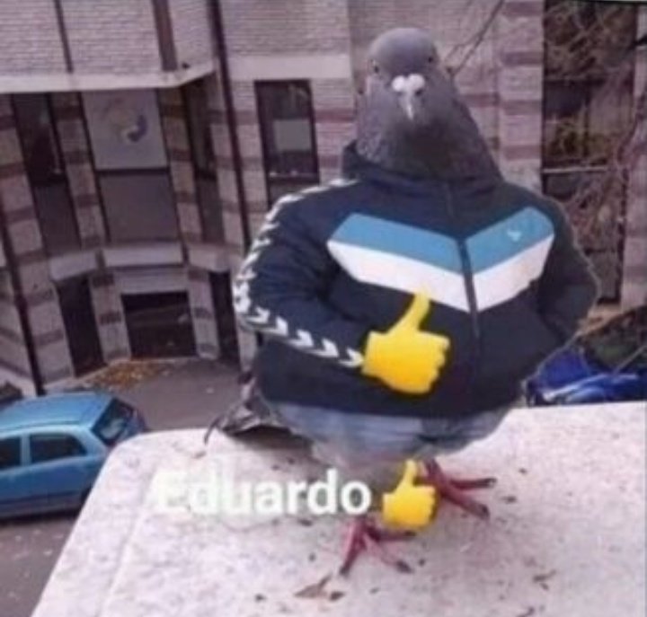 eduardo 👍