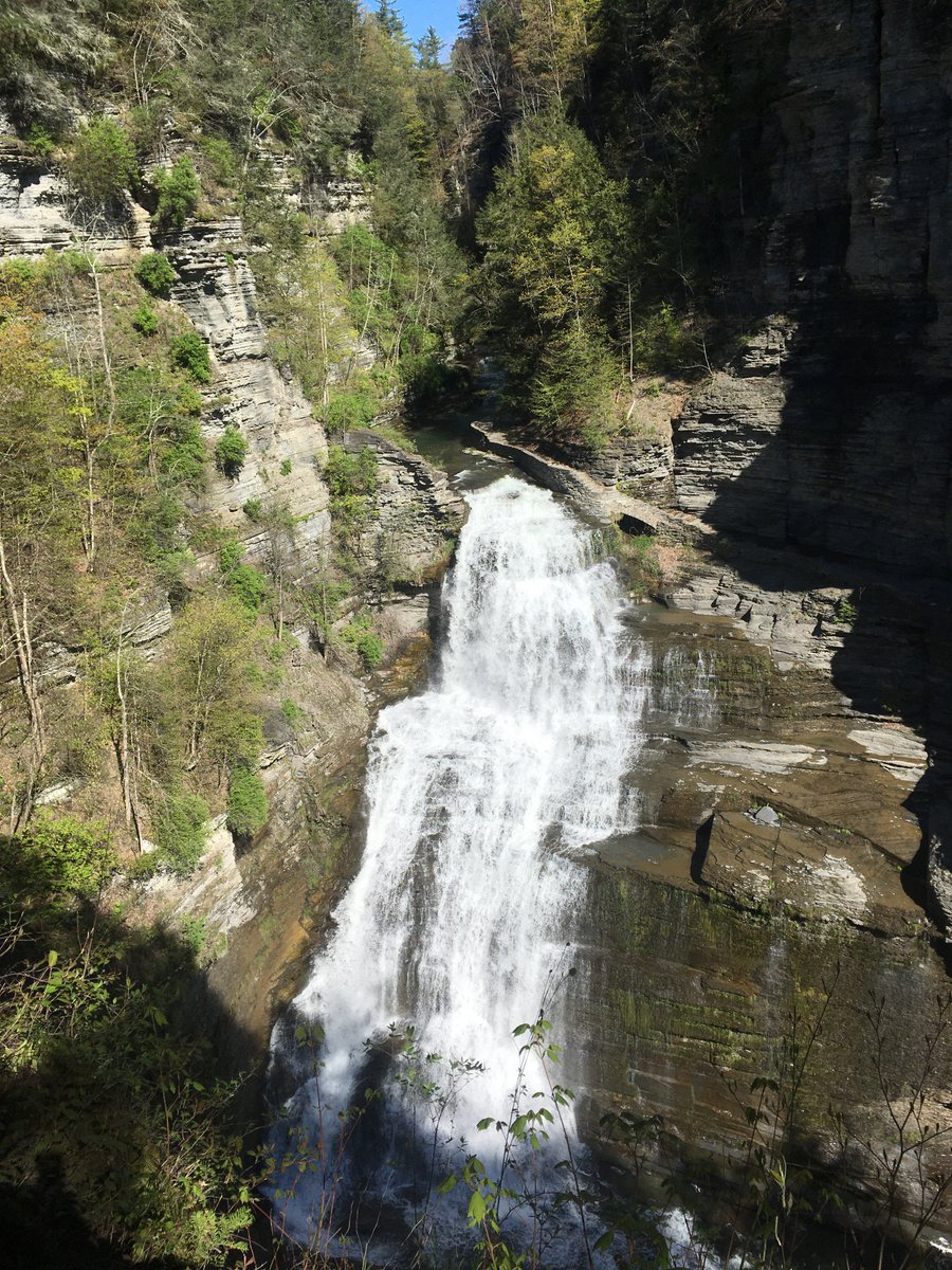 Cornell is hiring!  TT faculty opening in Microbial Physiology (CALS/Ithaca/NY). 
Join a supportive community with superb students (U/G &amp; Grads: <a href="/CornellMicrobio/">Cornell Microbiology</a>), spectacular scenery (@visitIthaca), and high quality of life!

academicjobsonline.org/ajo/jobs/22752

Please RT.