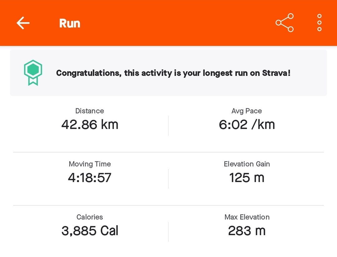 Gamma Loop tweet media