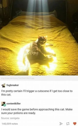 WholesomeMemes tweet media