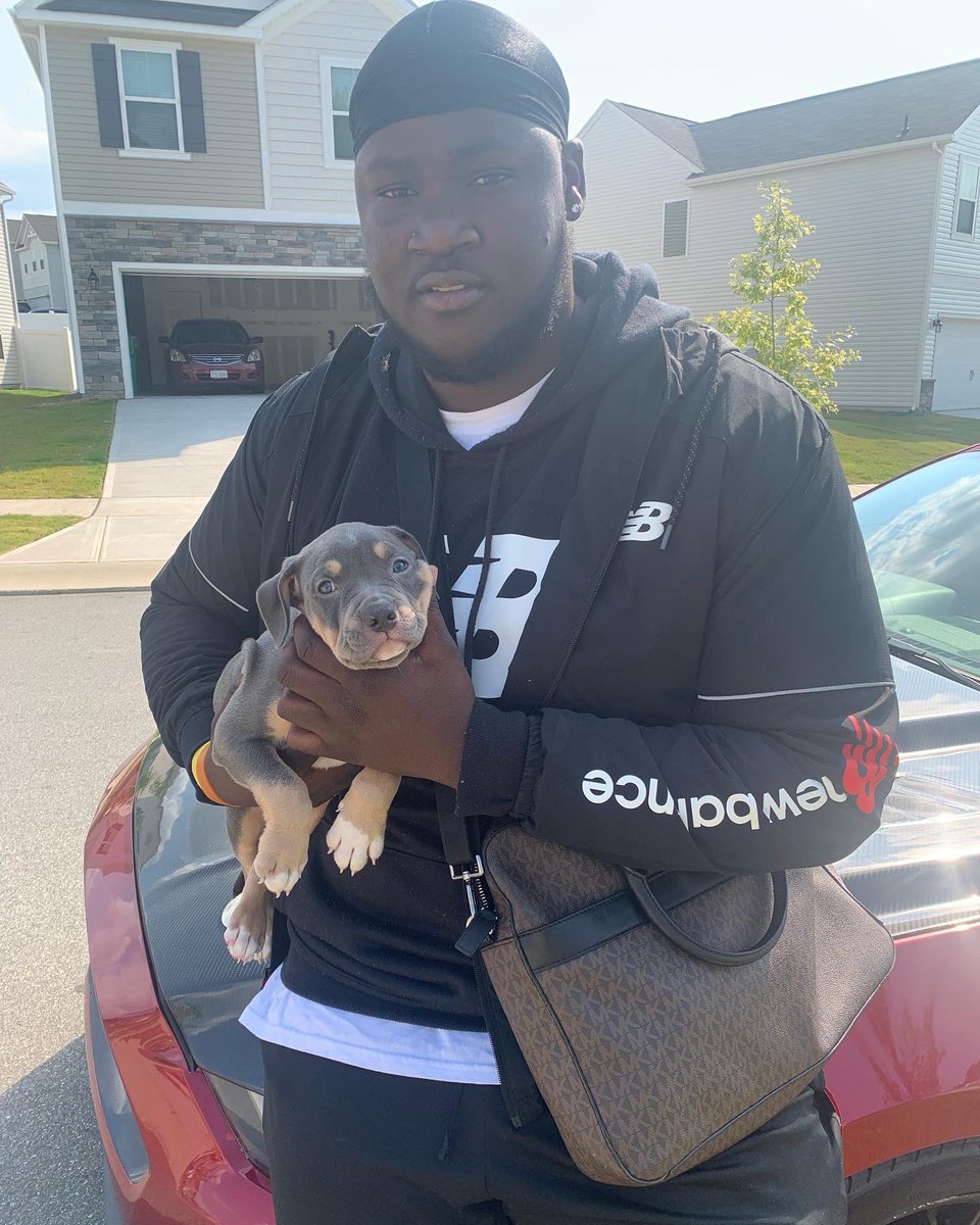 tyrek_thompson's tweet photo. My Son Major 💙💫 #americanbully #UKC #Structure #Temperment https://t.co/FQKVylLpkT