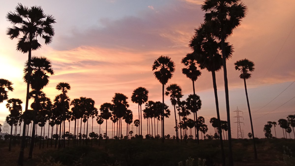 thambuvel's tweet photo. #பொன்மாலை #வான்மகள்நாணம் https://t.co/NlSp8kxwAY