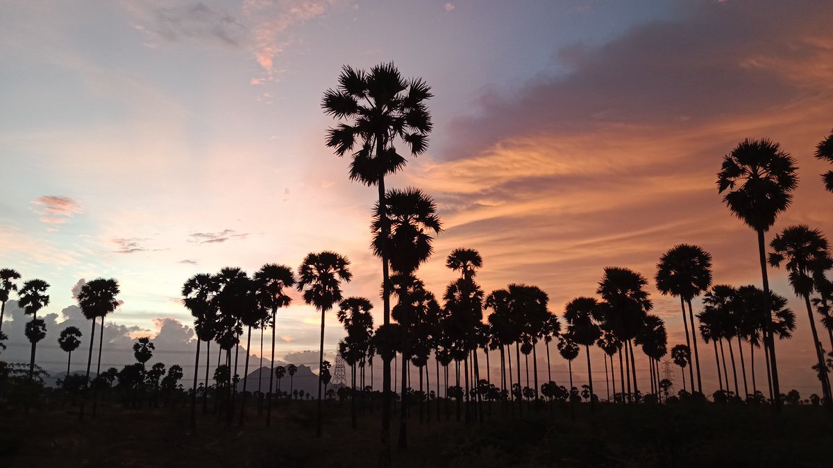 thambuvel's tweet photo. #பொன்மாலை #வான்மகள்நாணம் https://t.co/NlSp8kxwAY