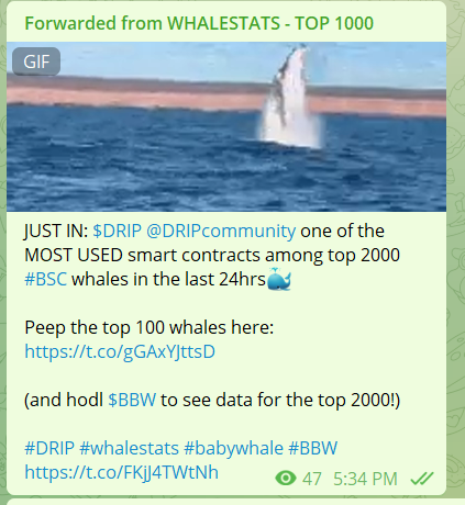 BartertownC's tweet photo. 👀 @DRIPcommunity  @F0r3x_Shark  @cz_binance  CZ wen developer incentive program grants ? #binance #drip #theanimalfarm https://t.co/5W5pVOdcBT
