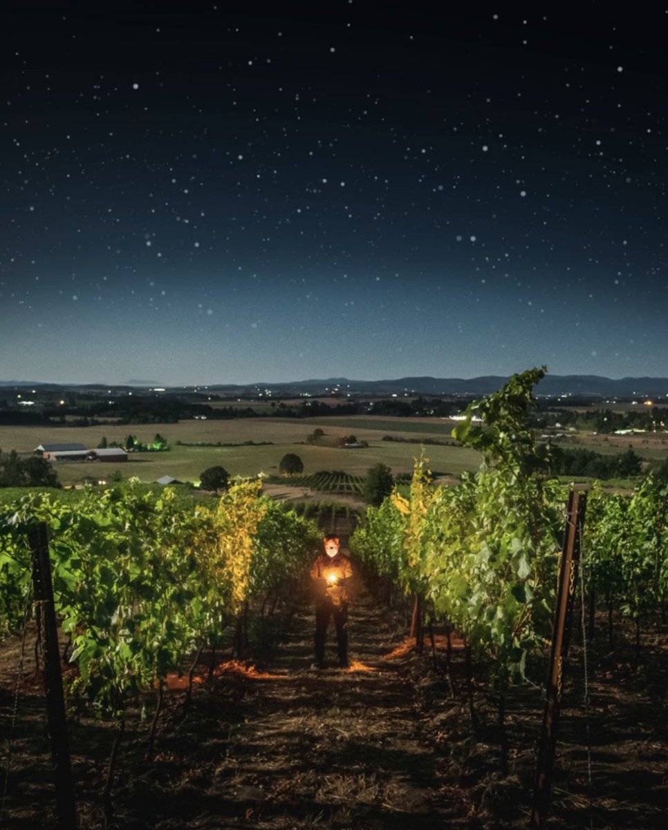 Bored Grapes #Discord is live! 

discord.gg/sGdJetSF64🍷

The first 500 members to come join will get on the Winelist (#WL) for our upcoming #FreeMint ❤️

Who wants to be a part of the first #Web3 #Winemaking #Experience 🍇

#NFT #NFTs #NFTcommunity #NFTdiscord #wine #winelover