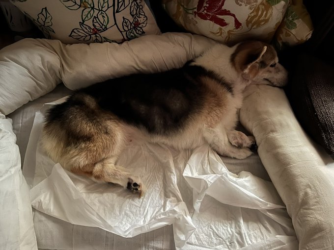 おはようございます。 