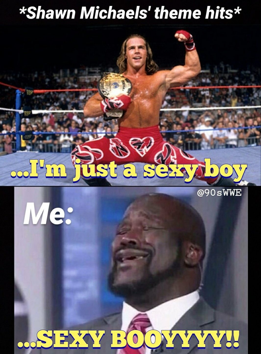 Shawn Michaels Memes