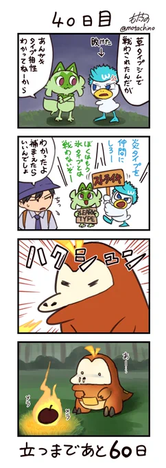 「100日後に立つネコ」40日目#ニャオハ立つな #ポケモンsv #ポケモン漫画 