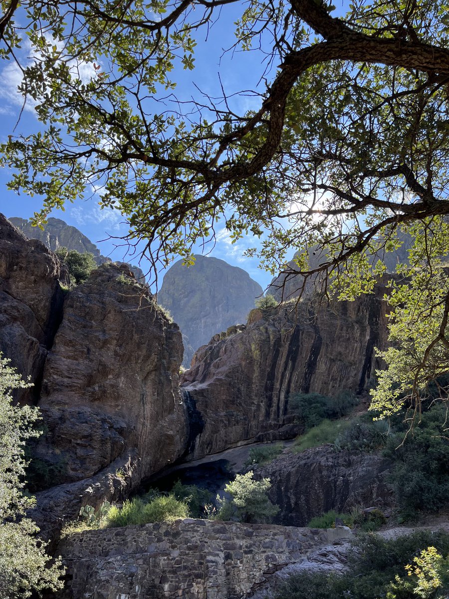 Just a few minutes from the NMSU campus.