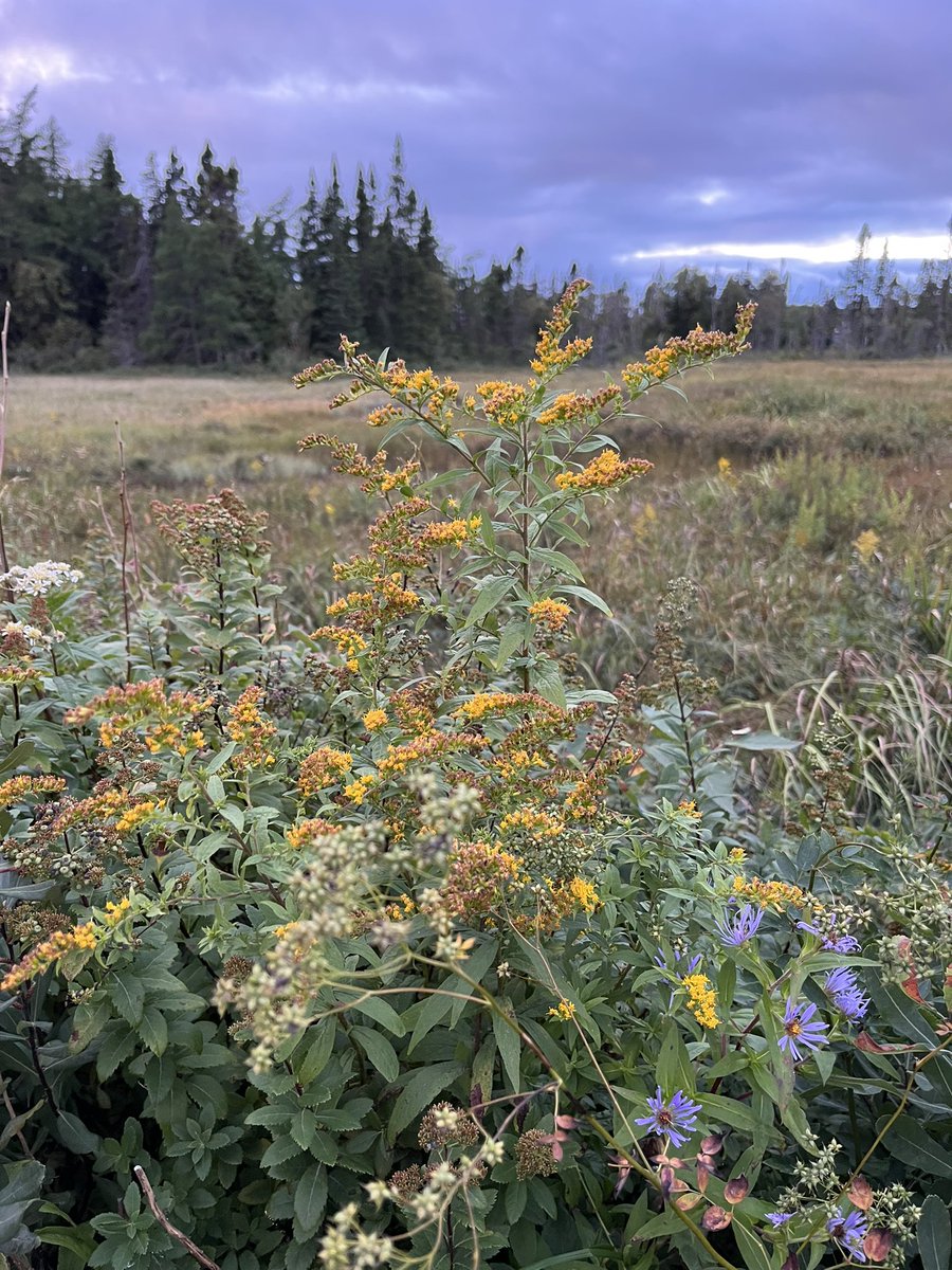 kimmy-on-twitter-having-a-fun-time-so-far-it-s-a-beautiful