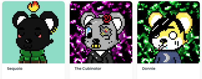 enlighten1self's tweet photo. Made my first 3 #PixelCubs by @enlightenft 

This is a CREATE-YOUR-OWN NFT where you get to select the traits and name your cub!!

Its only 2 MATIC for holders right now... yeah you should definitely try this out.

#PolygonNFT #PolygonNetwork #PolygonMatic #CuriousCubsClub https://t.co/UsP1kvNd6P