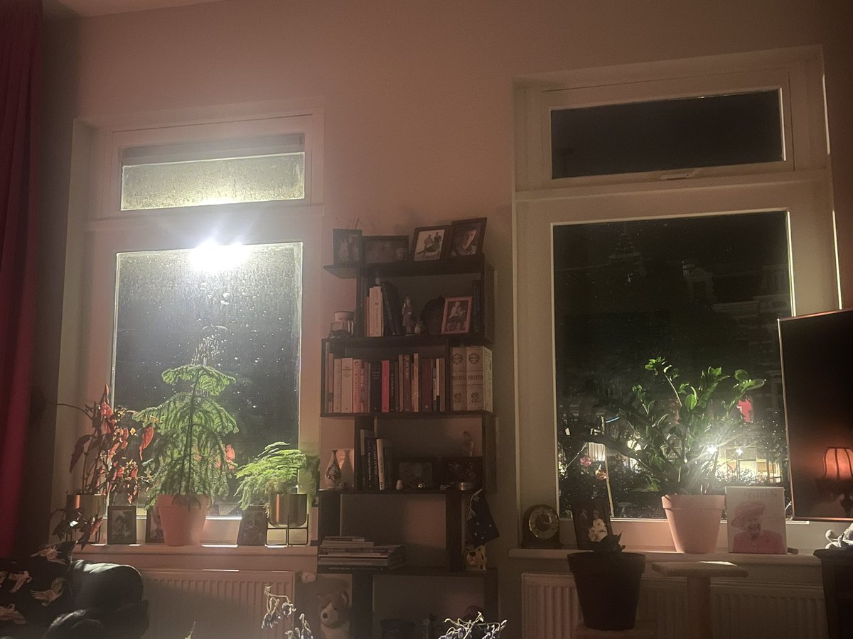 Oude lampen in de straat zijn vervangen door nieuwe, mogelijk energiezuinige versies. Fraai, maar elke avond zo in de spotlights zitten?! Hadden deze niet iets minder fel kunnen zijn, Stadsbeheer van <a href="/gemeentedenhaag/">Gemeente Den Haag</a>? #kleinleed #durftevragen