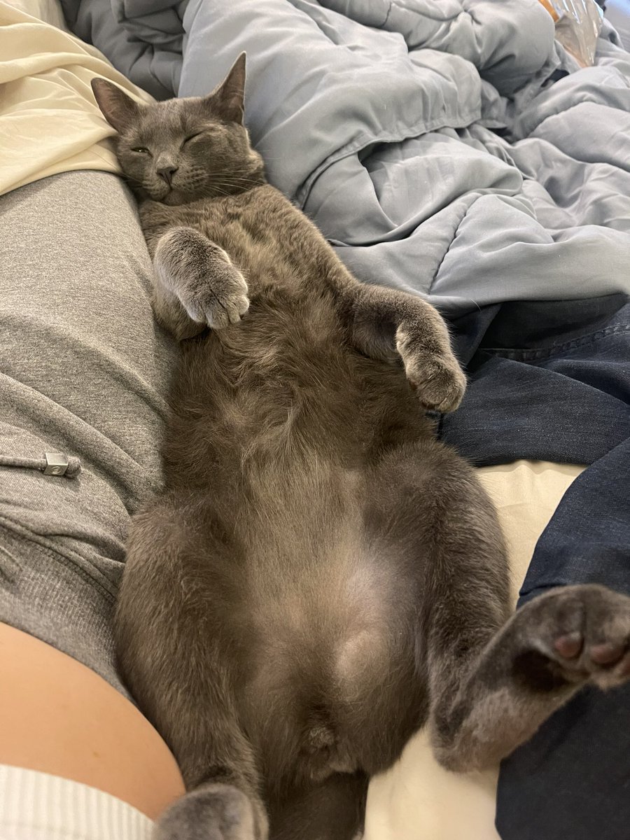 _DreamsDesigned's tweet photo. He’s a kangaroo 🦘 https://t.co/jSSqfvpezz