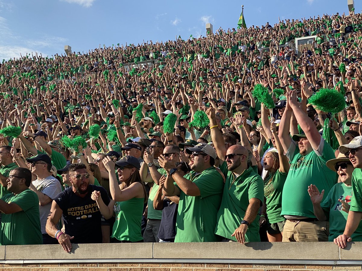 Angelo Di Carlo tweet media