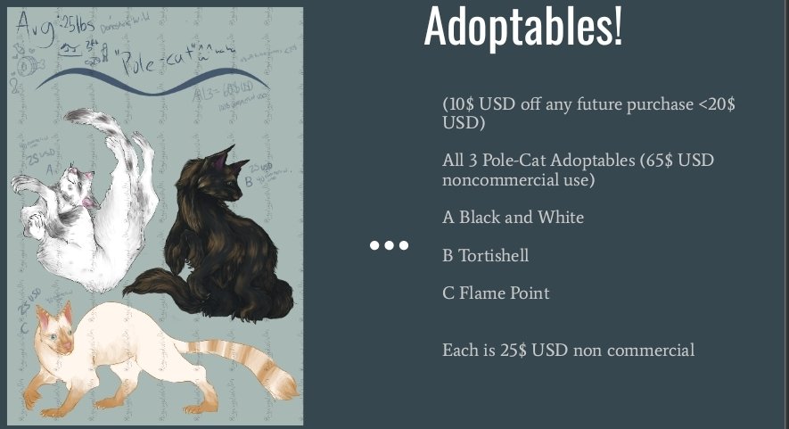 JuggaLuggDraws's tweet photo. ^^ Original Species Adopts ^^
Feline Ferrets 
Dm to claim 

All: 60$ USD Personal Use
Each: 25$ USD Personal Use

A. Black and white Mixed hair Ferret
B. Tortishell Longhair Ferret
C. Flame Point Siamese Ferret

+5$ for small design changes (ie. Eye color, pattern)

#AdoptMe https://t.co/NrgTsn9YHI