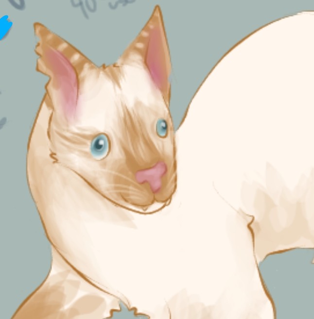JuggaLuggDraws's tweet photo. ^^ Original Species Adopts ^^
Feline Ferrets 
Dm to claim 

All: 60$ USD Personal Use
Each: 25$ USD Personal Use

A. Black and white Mixed hair Ferret
B. Tortishell Longhair Ferret
C. Flame Point Siamese Ferret

+5$ for small design changes (ie. Eye color, pattern)

#AdoptMe https://t.co/NrgTsn9YHI
