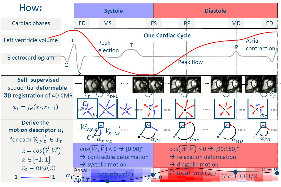 Discrete Vector Fields for #Cardiac #Motion #Description are a rich source of information. We use it to determine #five distinctive cardiac #phases in a self-supervised way. Presented today by Koehler at #MICCAI2022 STACOM 12:10 pm - GMT+8

arxiv: arxiv.org/pdf/2209.05778…