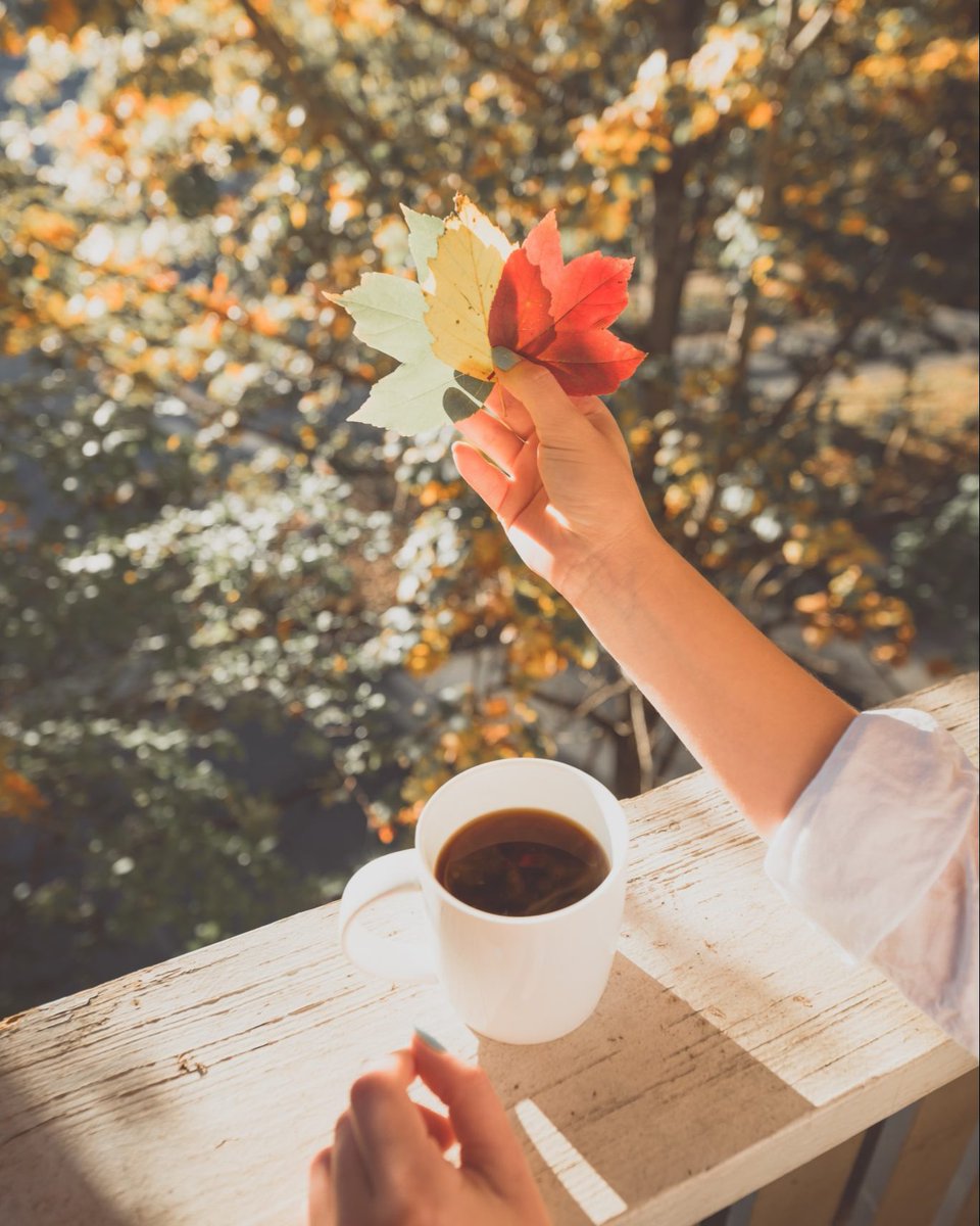 Bella Grace Magazine tweet media