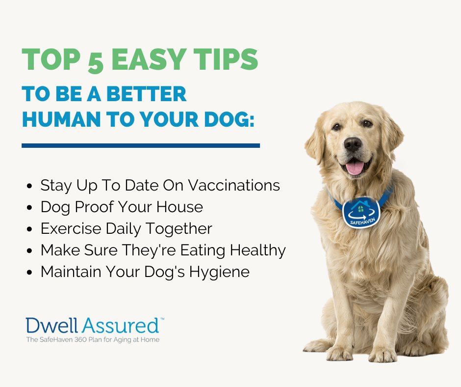 DwellAssured's tweet photo. We are dog-lovers here at DwellAssured and will help you continue to live at home while you age with your furry best friends. Learn more today at https://t.co/RWQOhmnvpv or call 667.401.7360.

#ResponsibleDogOwnershipDay https://t.co/tIxKbOCF0r