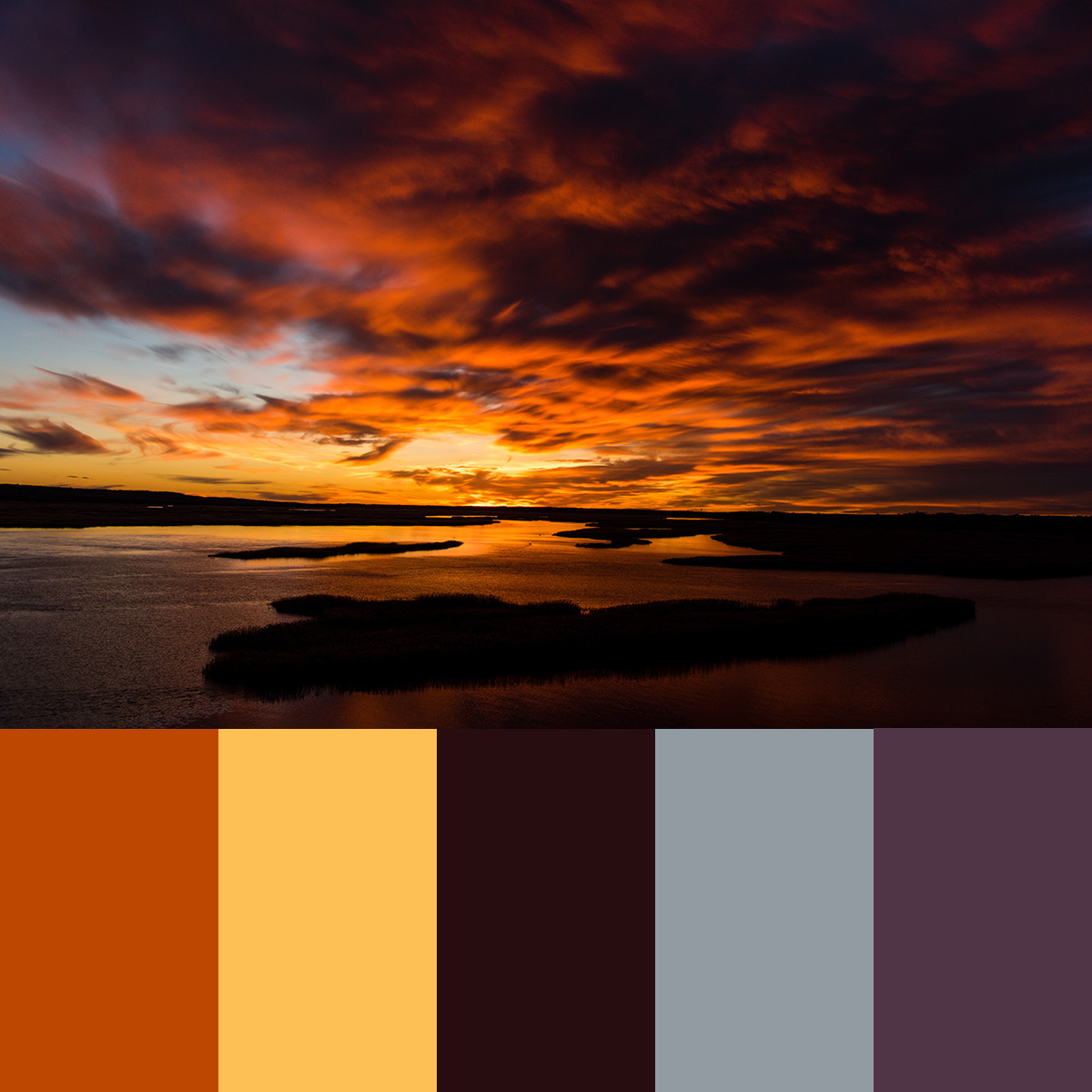 NeblandMagazine's tweet photo. Take moment to appreciate the calming color palette Nebraska's sunsets has to offer 🎨☀️
📷: Eric Fowler
#Nebraskaland #OutdoorNebraska #ColorPalette #ColorsOfNebraska https://t.co/bbXorcJKZ3