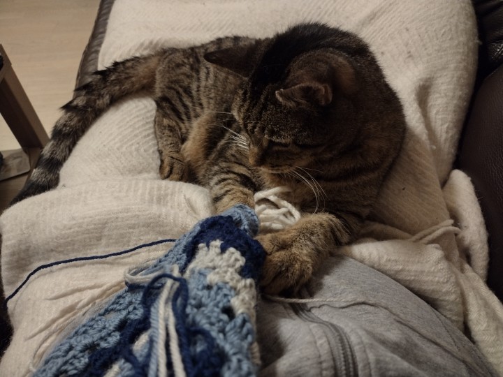 Sometimes you get a bit of help with your crocheting.