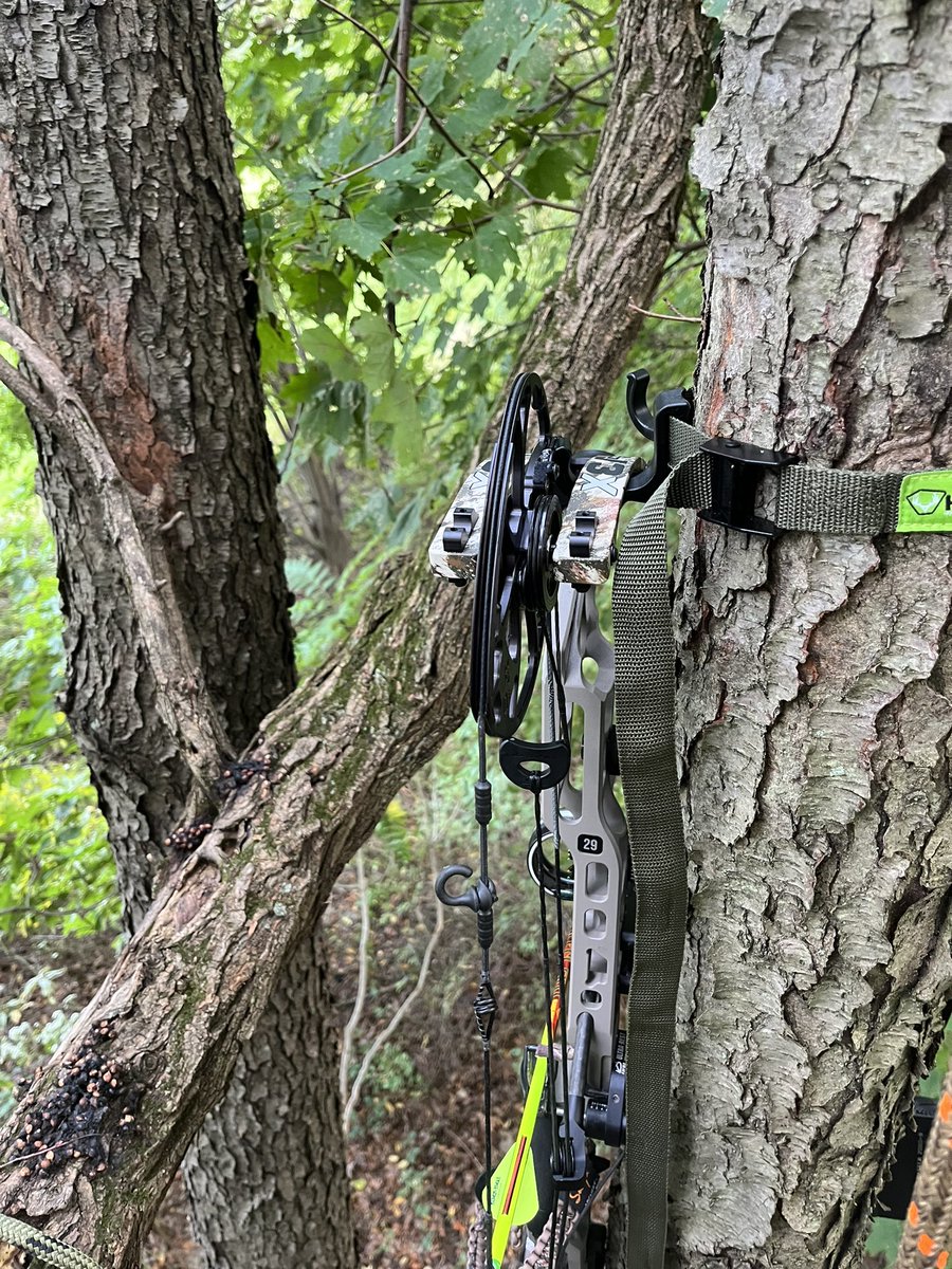 JayTac16's tweet image. First sit of the year plus first sit in a saddle #tethrd #firstlite