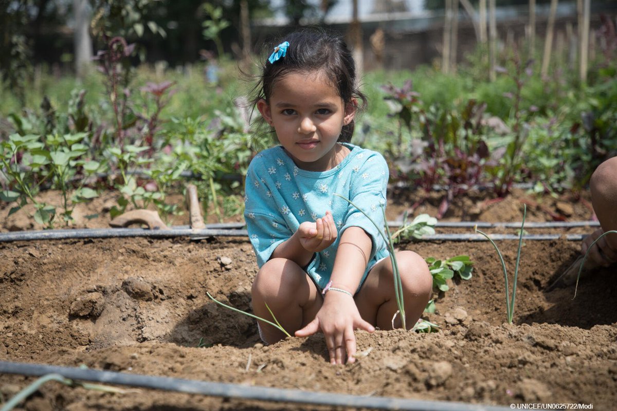 UNICEF's tweet image. Air pollution 
Water scarcity 
Heatwaves 
Vector-borne diseases
Cyclones 
Flooding 

Every child has been exposed to at least 1 of these climate disasters. 

Countries must take drastic action to protect children and the services they rely on. #ForEveryChild #UNGA