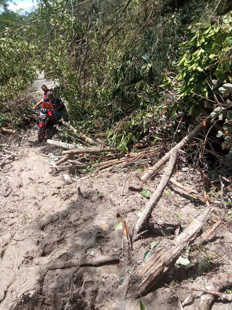 MurilloAnggy1's tweet photo. Más de 12 derrumbes fueron contabilizados en la vía que va desde Chorro El Indio hasta la comunidad de Macanillo en San Cristóbal. https://t.co/jguCLbGdgi