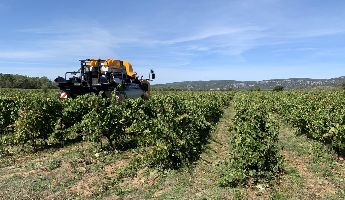 AmisMasMathieu's tweet photo. Après les trombes d’eau des jours derniers, reprise des #vendanges pour le #GFAmasMathieu et #LaGravette #Corconne. Bonne qualité mais quantité faible à cause de la #grêle de fin juin et des deux mois d’été de grande #sècheresse. https://t.co/7lwozMh694