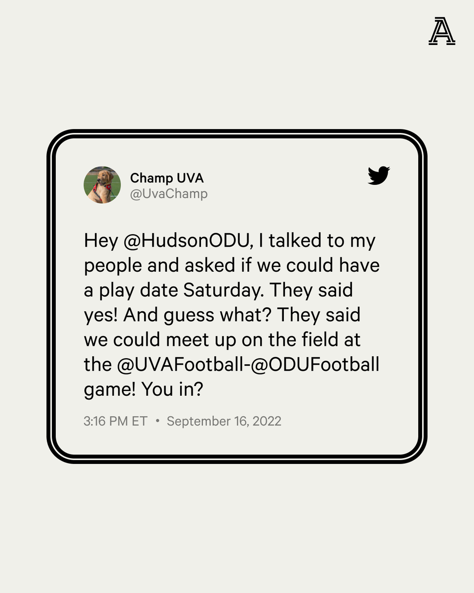 TheAthletic's tweet photo. Update: It happened!

The goodest of all good boys having a playdate ahead of Old Dominion-Virginia.

📸 @HudsonODU x @UvaChamp

https://t.co/wg0mFwE953 https://t.co/qcv694Lsti