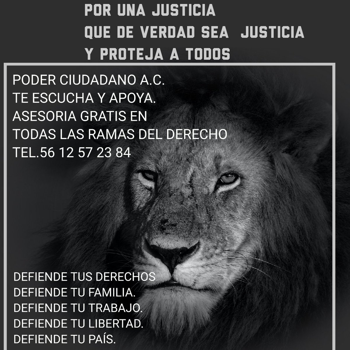 LegalPoder's tweet image. 