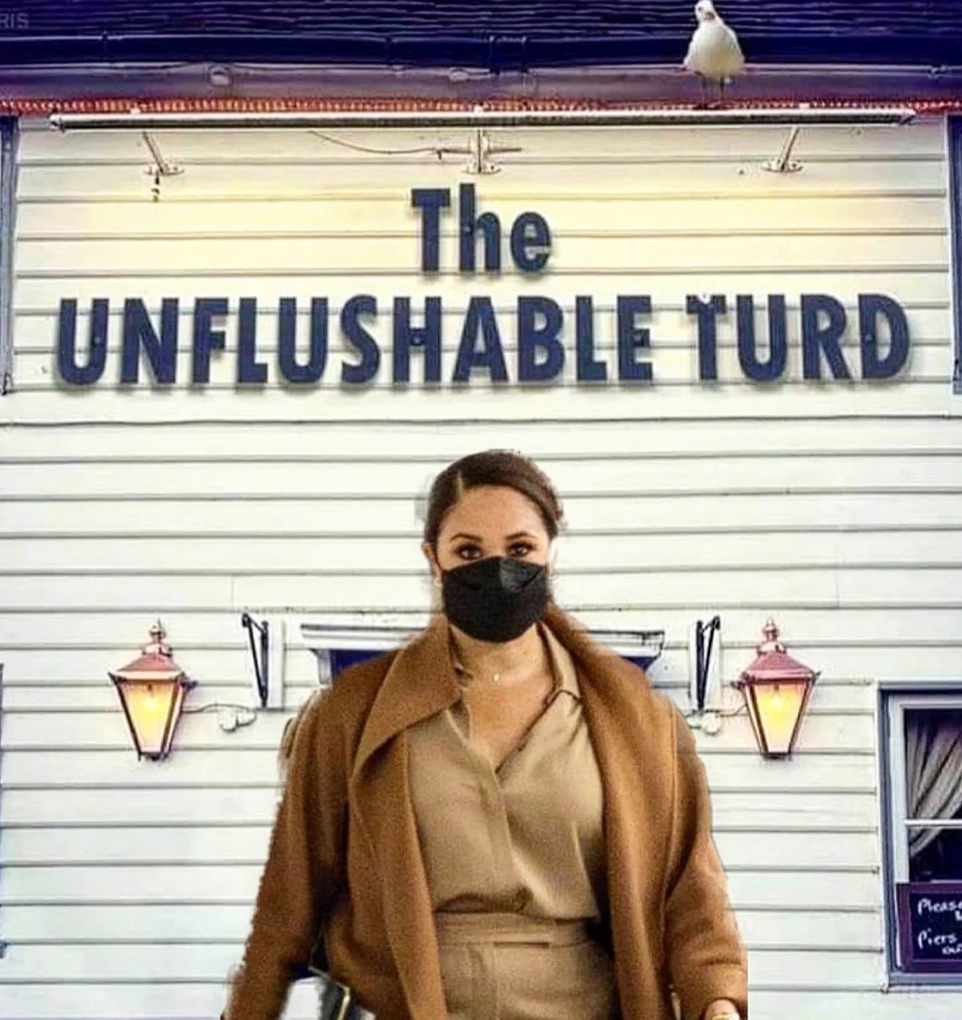 Meghanarciss1's tweet photo. #unflushable #turd #GoHomeMeghanMarkle #EnoughIsEnough https://t.co/EXQs8JXScp