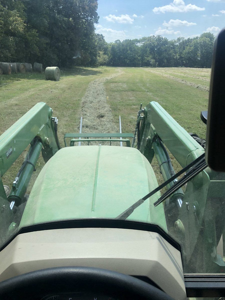 Carter_Cattle's tweet photo. Itβs dry and dusty and hay season. #notandyclean. https://t.co/zHo3vaekRZ