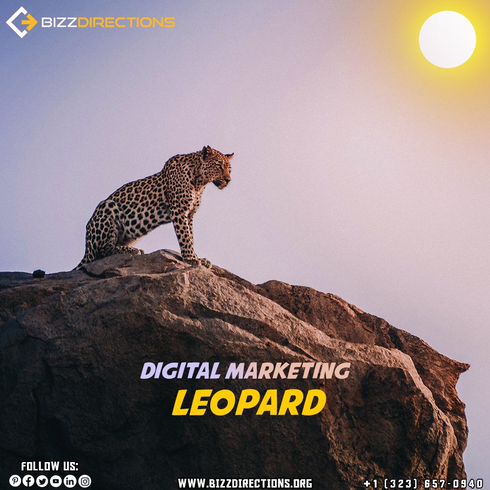 usbizzdirection's tweet photo. Digital Marketing Cheetahs.

Call/WhatsApp:
hello@bizzdirections.org
+1 323 657 0940

Follow Us:
https://t.co/06szsIWyI5
https://t.co/Msk6loTVnw https://t.co/iN0y0ETFIT