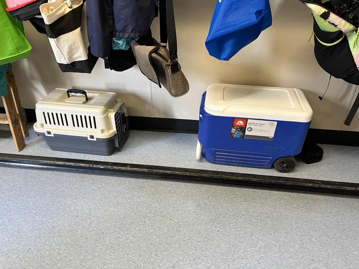 Brooke Elementary tweet media