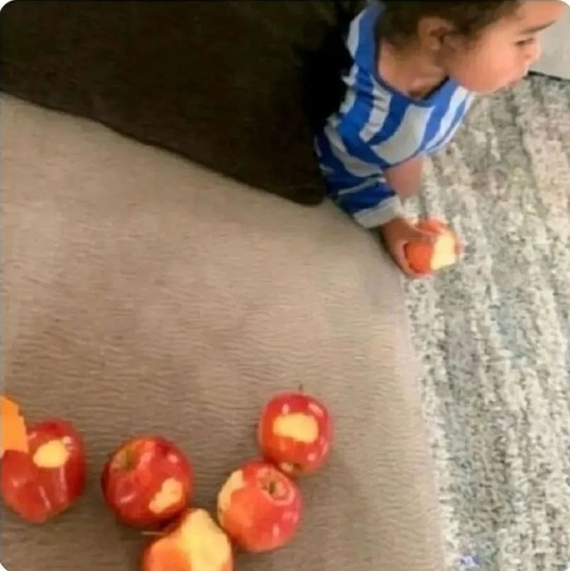Me and my udemy courses 🤡