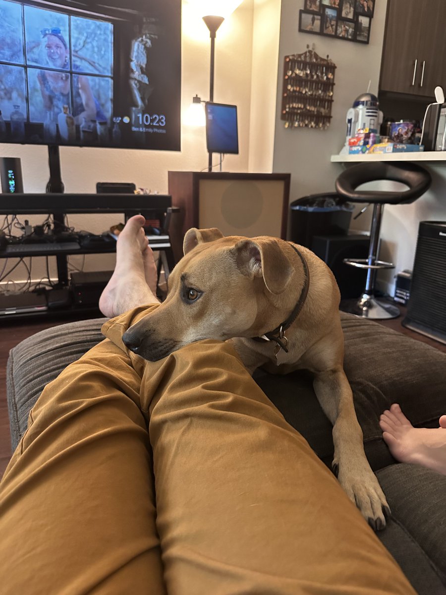 BobbyTheHound's tweet photo. https://t.co/tyGnFVxGqQ