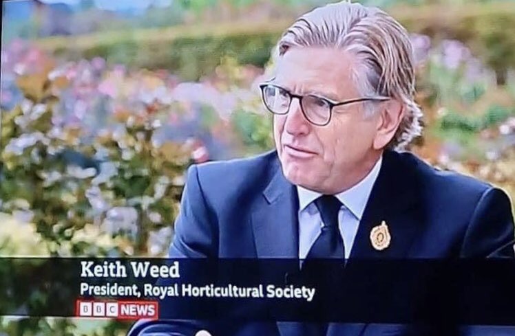 Accidental Toast of London tweet media