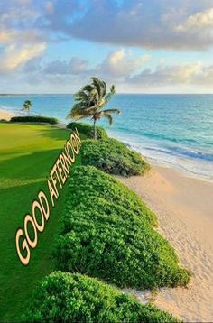MiracleSDiva19's tweet photo. My mind....yeah, somewhere along the beach.....#VacateMePlz #VeryRelaxing https://t.co/bZmxrbEo86