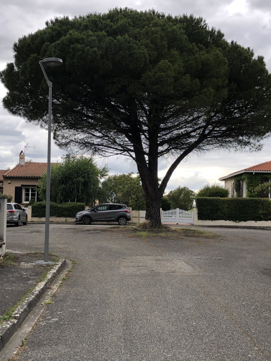 Accusé de déformer la voirie, condamné à ☠️ ainsi que 2 autres par la Mairie de Deyme (31450) Un long combat commence. Aidez-nous !