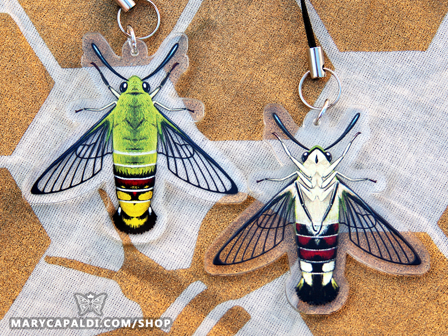 MothMonarch's tweet photo. 🐛🐝🦋 Help me find these bugs some homes and defeat the algorithm! 👾🔫 
Take a peek or toss me an RT, please and thank you! 🌟
https://t.co/AeECoq3Hma https://t.co/4UZebluiWR