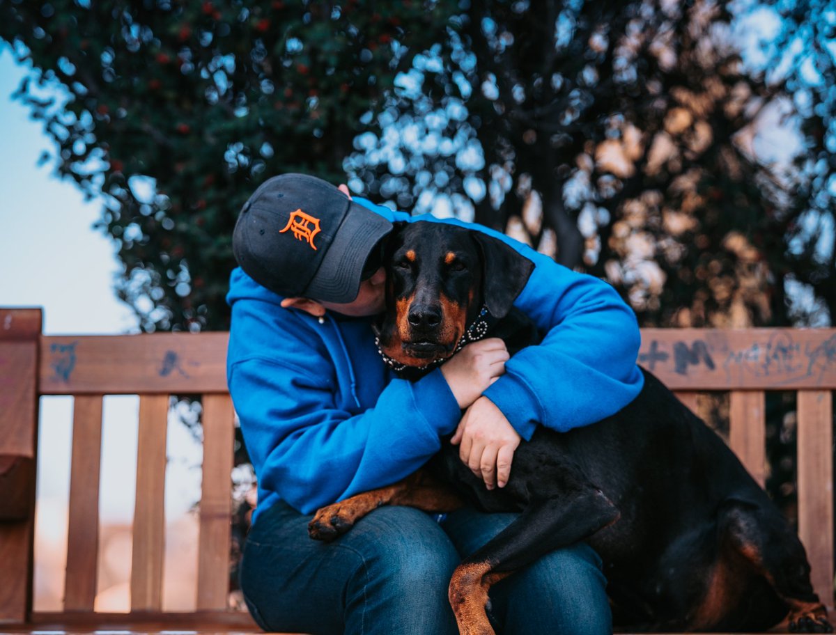 MichiganColt's tweet image. The very best dog in all the world has gone from us. Kaline, you lived up to your name in every way possible. Everyone who knew you loved you, and you are a legend. Legends never die.