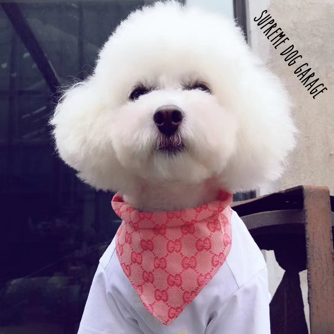 SDGShop's tweet photo. It's the most wonderful time of the year ☀️

Follow @SDGShop 🥰

Get your dog sneakers here 👉 https://t.co/4g83MbAhOG

#dogbandana #dogbandanas #doglove #doglover #doglovers #bandana #dogstyle #dogfashion #bandanas #gucci #supremedoggarage #dogsoftwitter #guccidogs https://t.co/cAGMyQhtPu