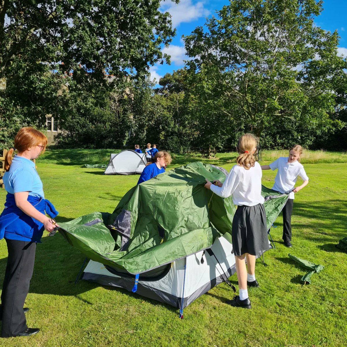 Dent School tweet media