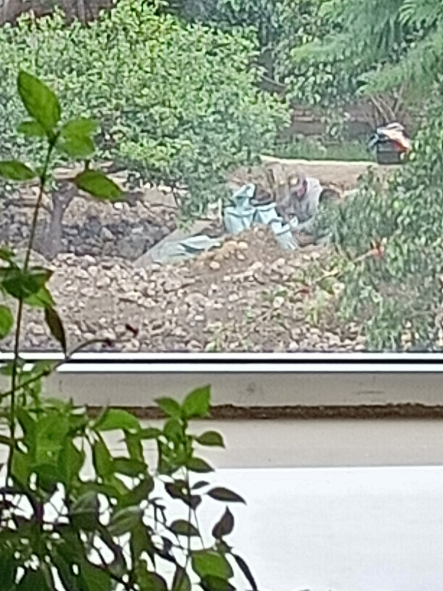 Cholis17602563's tweet photo. Están haciendo una obra sin permiso en viaducto Tlalpan s/n junto al 1195 en la colonia la Joya. Ya levantaron un edificio en plena pandemia y nadie hizo nada. Favor de hacer algo ya que van a construir otro edificio que nos deja sin luz y no tienen permisos. https://t.co/1Fe1Ol2Jxb