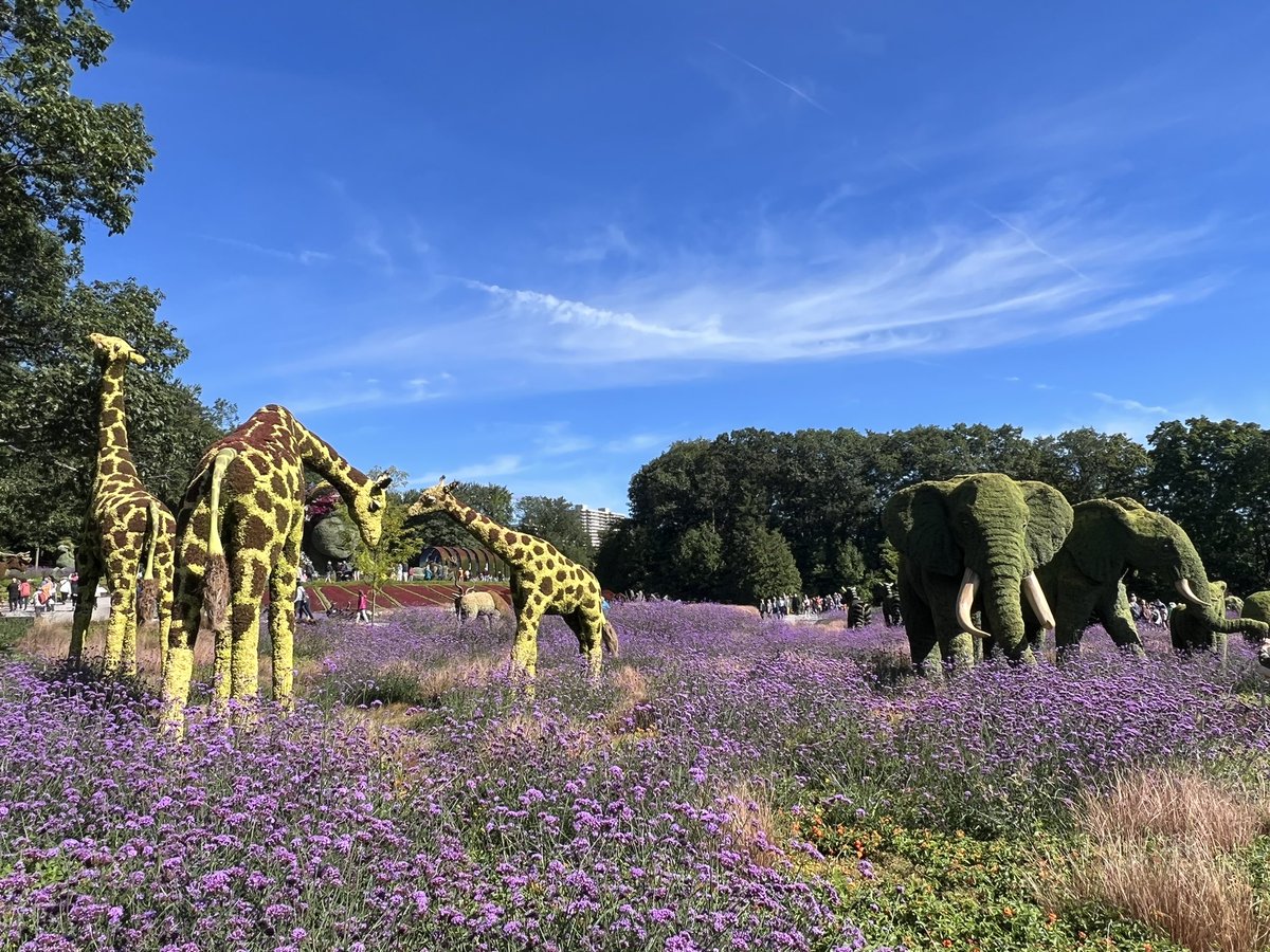 JulienTOPPAN's tweet photo. Exposition @Mosaicultures 2022 à @villequebec jusqu’au 10 octobre: Il était une fois…la Terre 🌍 au Parc-du-Bois-de-Coulonge https://t.co/0AB4jqaBvc